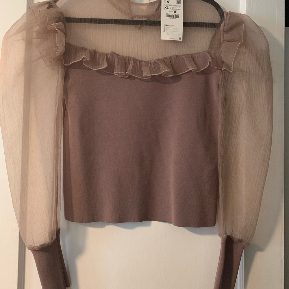 Zara sheer sleeves sweater